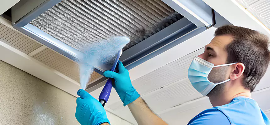 Proactive Dryer Vent & Auxiliary Duct Pollen Cleanup in Grand Rapids, MI