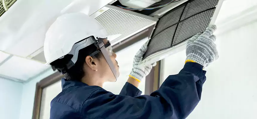 Our Mold & Mildew Removal from Air Ducts Services in Grand Rapids, MI