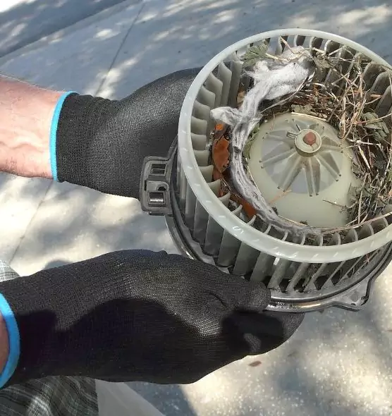 About Air Duct Rat Removal in Grand Rapids, MI