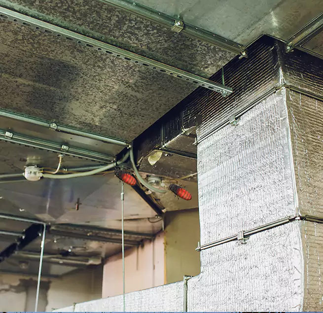 Why Homeowners & Businesses Trust Us in Grand Rapids, MI?