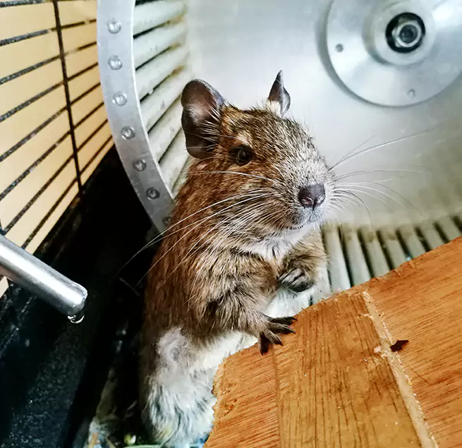 Why Homeowners & Businesses Trust Us Grand Rapids, MI?