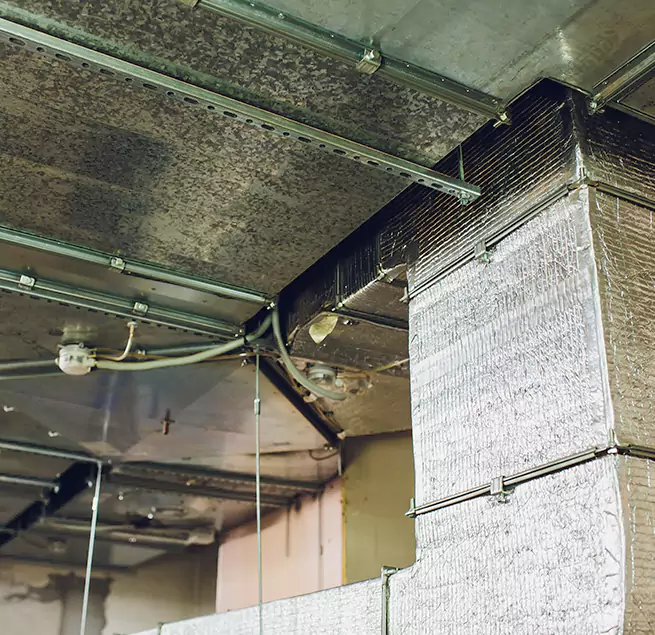 Why Homeowners & Businesses Trust Us in Grand Rapids, MI?